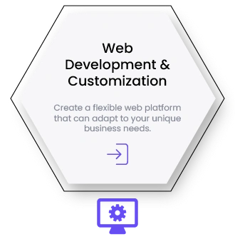 web-analytics-development